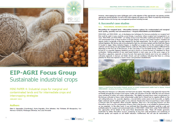 EIP-AGRI MINI PAPER 4: Industrial crops for marginal and contaminated lands and for intermediate crops and intercropping strategies